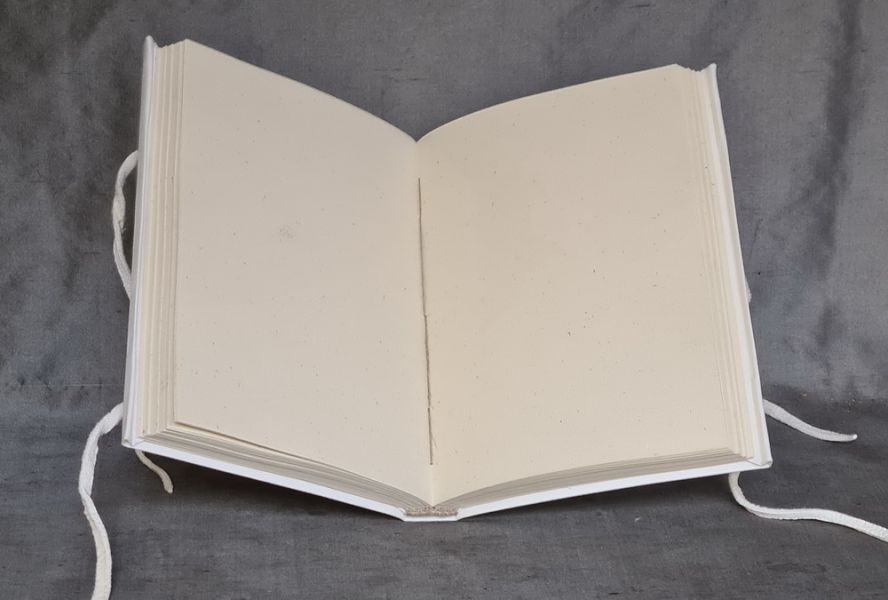 Vellum bound note book #3